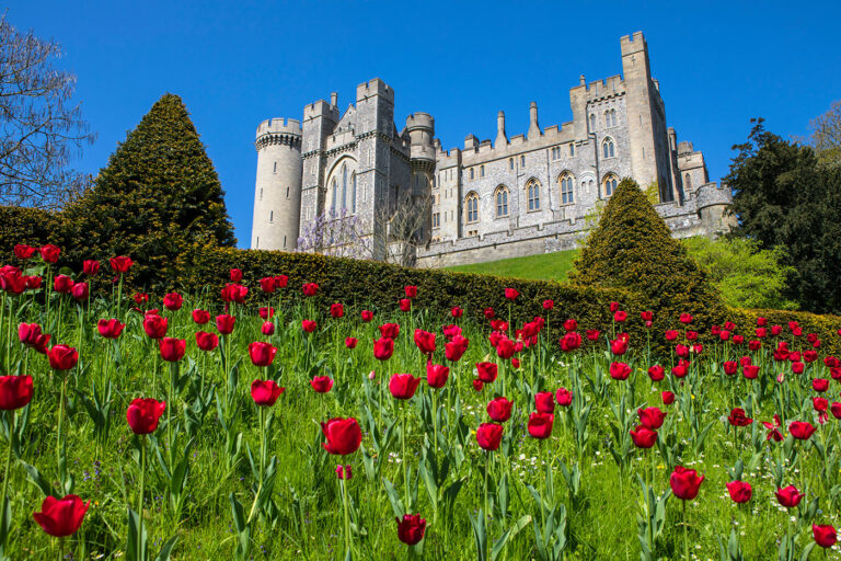 aldingbourne Arundel castle 1 768x512
