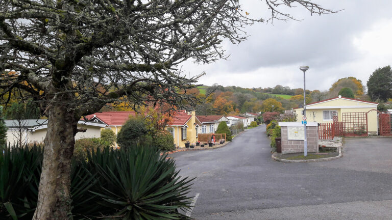 st dominic park scene 768x432